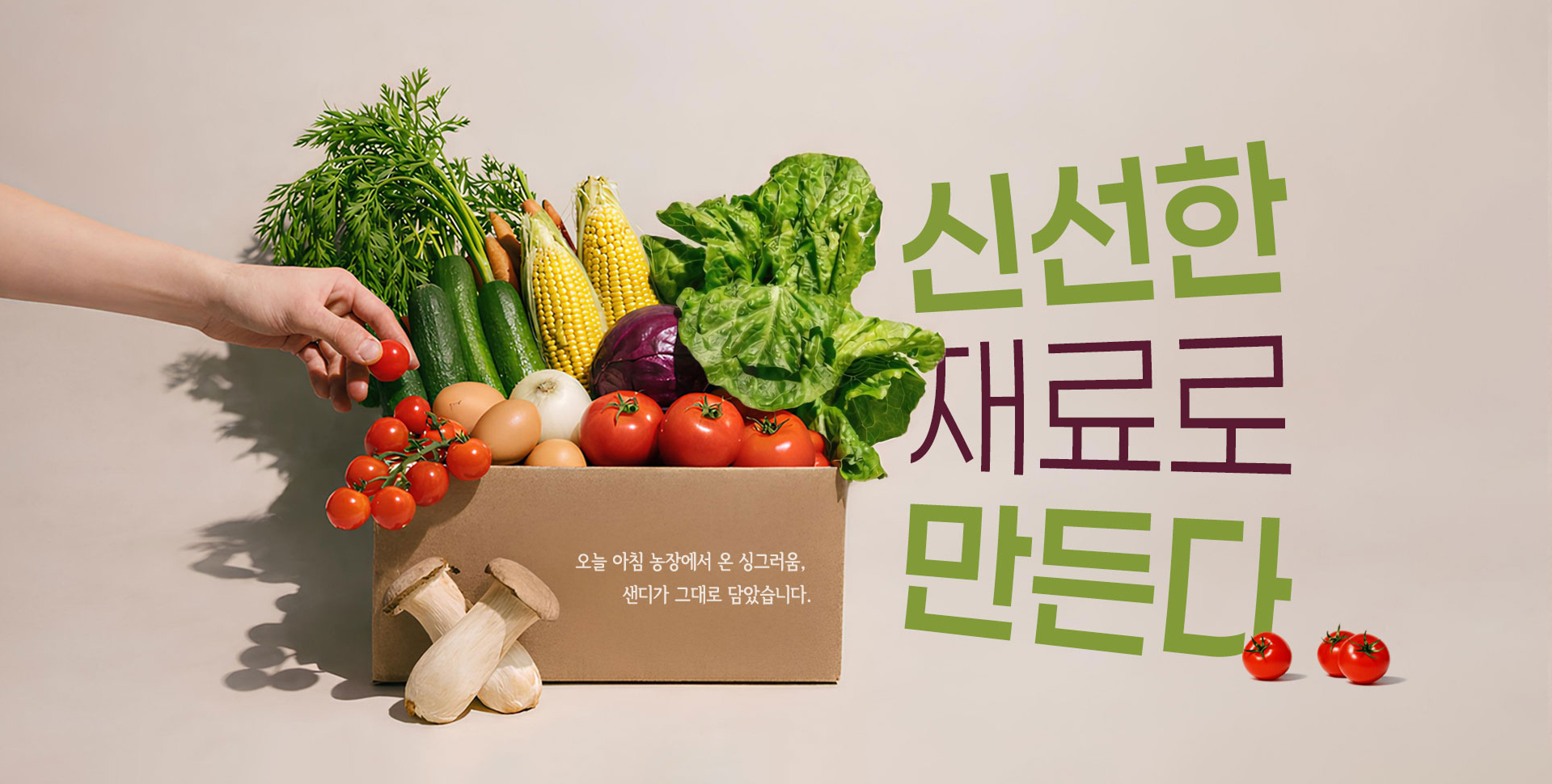 sandie signiture sandwich banner